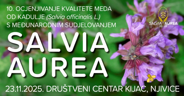 arhiva/novosti/salvia aurea2025.jpg